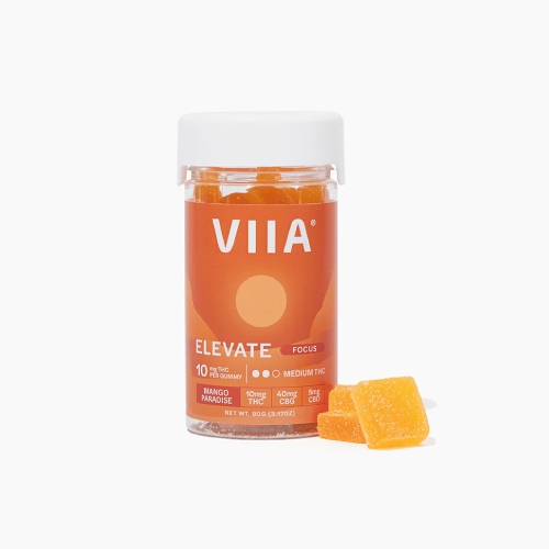 Elevate Focus Gummies - 10 mg THC