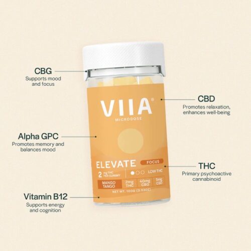 Elevate Focus Gummies - 2 mg THC - Image 2
