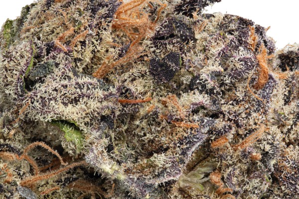 THCa Flower