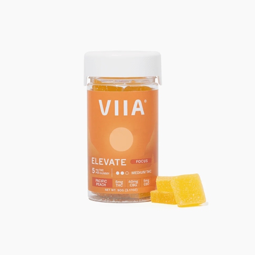 Elevate Focus Gummies - 5 mg THC