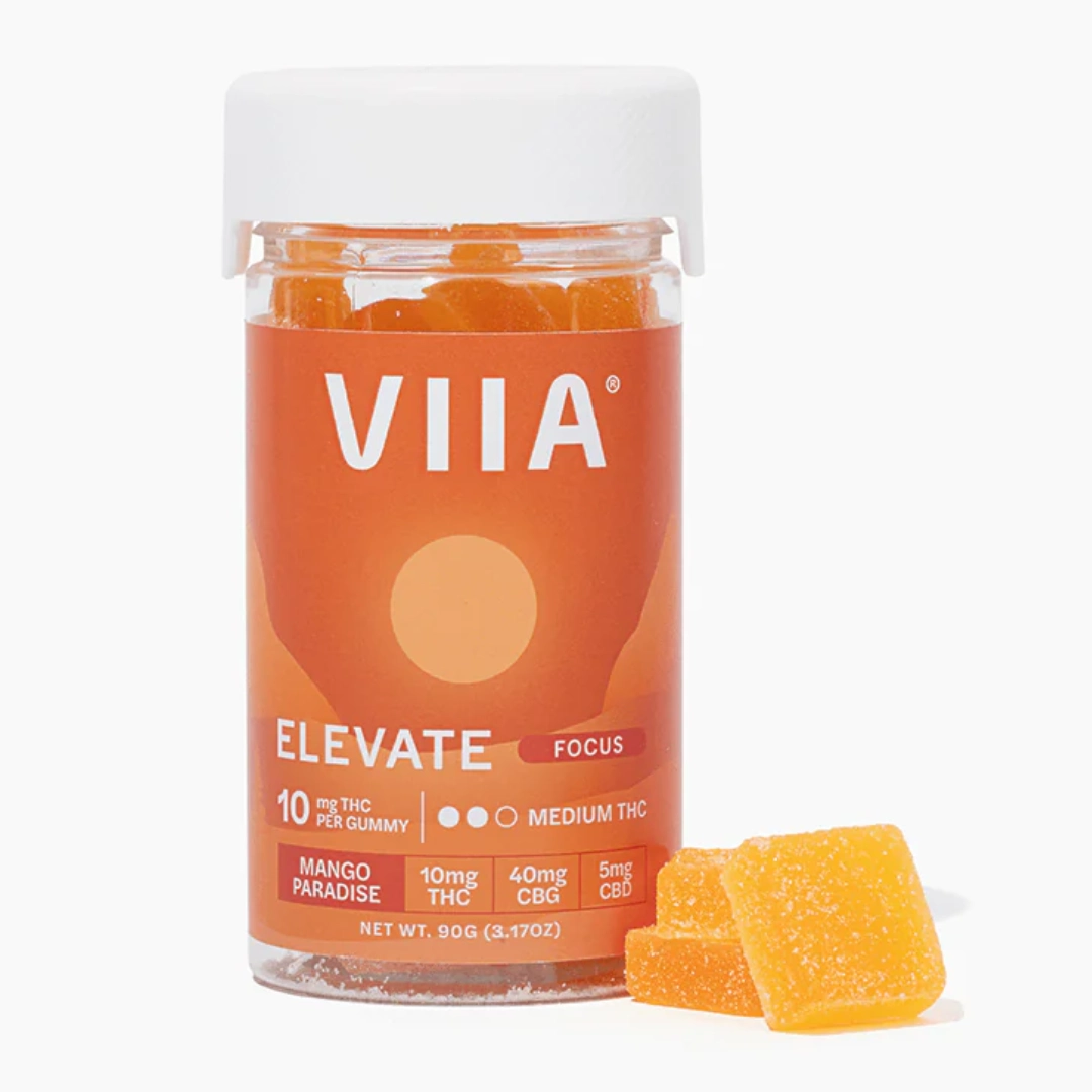 Elevate Focus Gummies – 10 mg THC