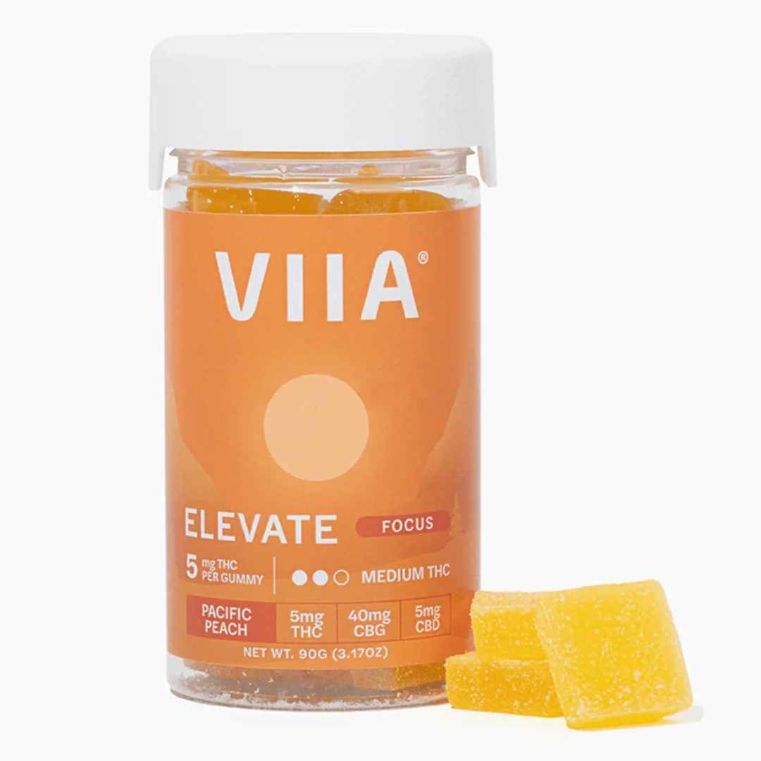 Elevate Focus Gummies – 5 mg THC